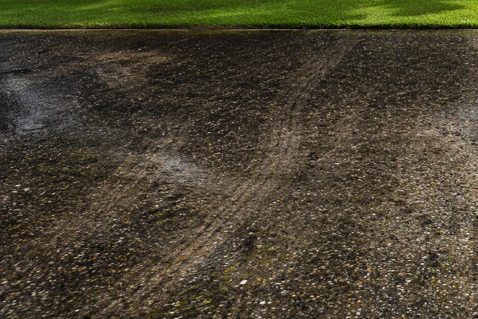 Driveway before cleaning